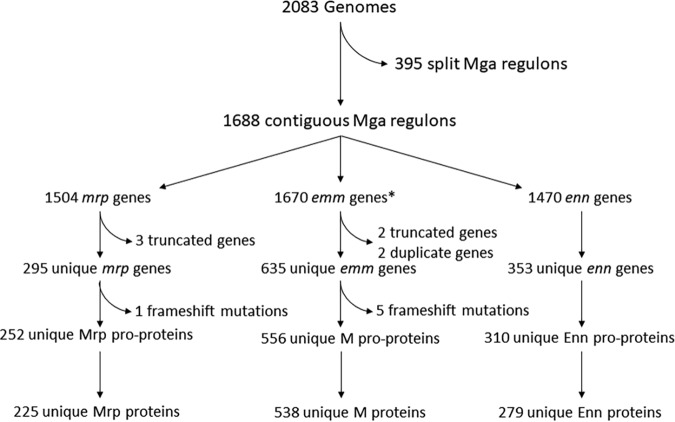 FIG 1