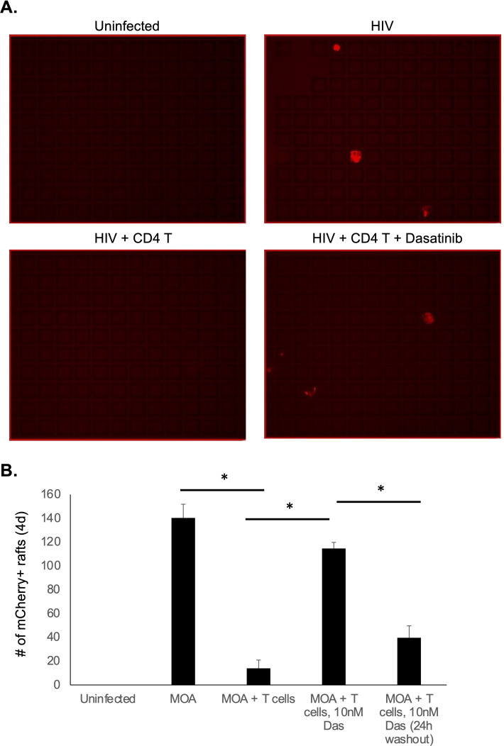 Fig 7