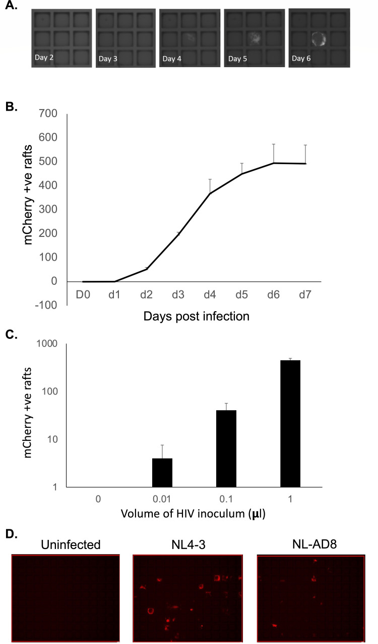 Fig 3