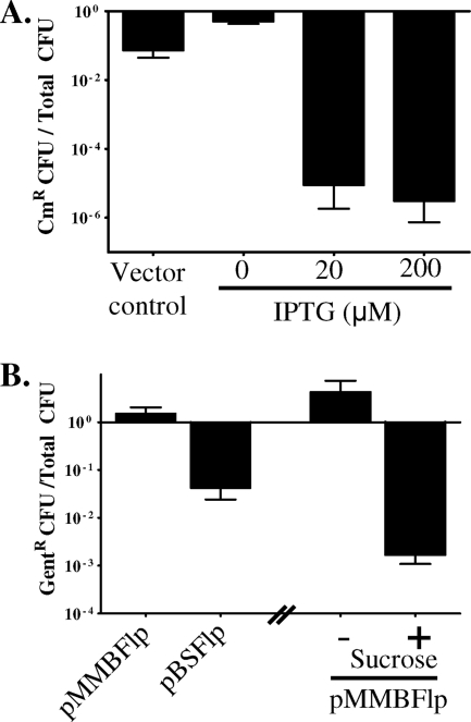 FIG. 1.