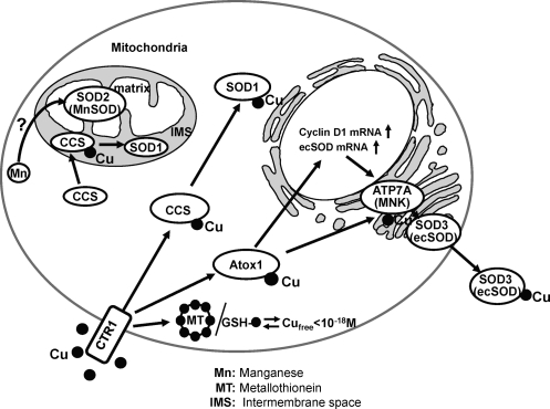 FIG. 3.