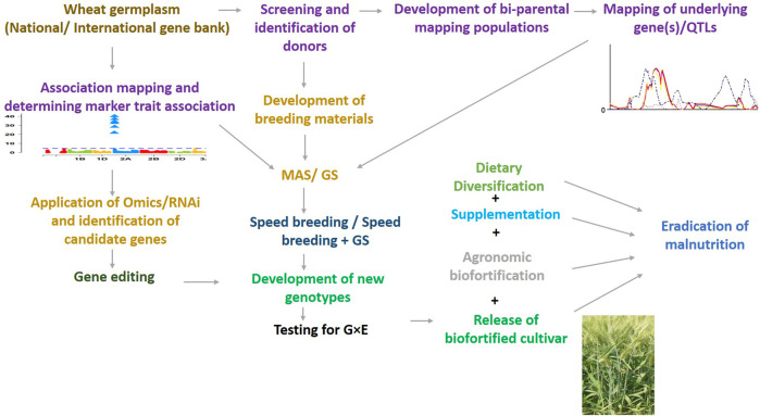 FIGURE 1