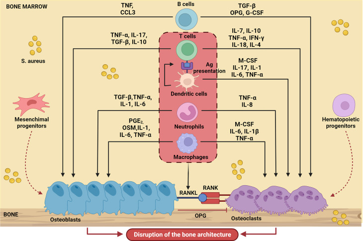 Figure 1