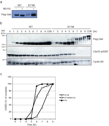 FIGURE 6: