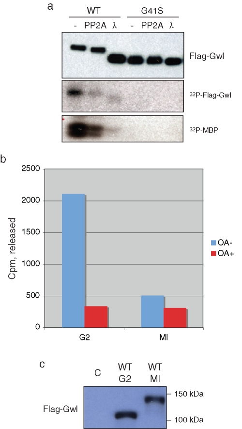 FIGURE 2: