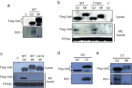 FIGURE 1: