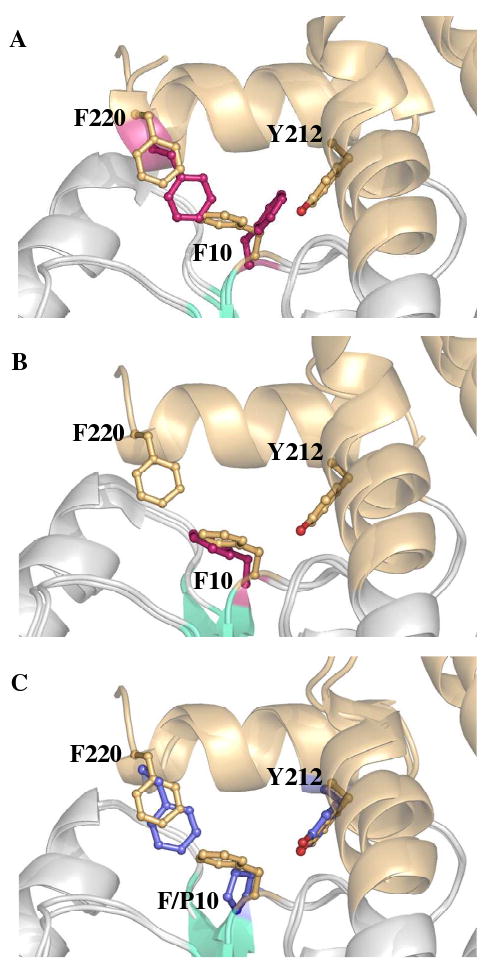 FIGURE 3