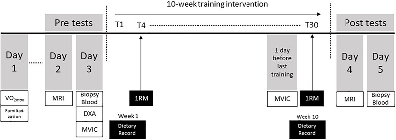 FIGURE 1