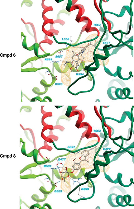 Figure 5.