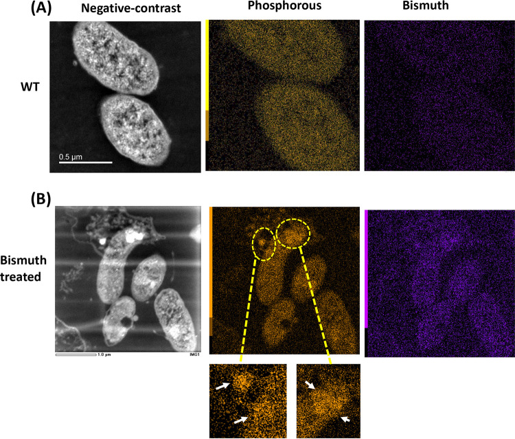 FIG 3