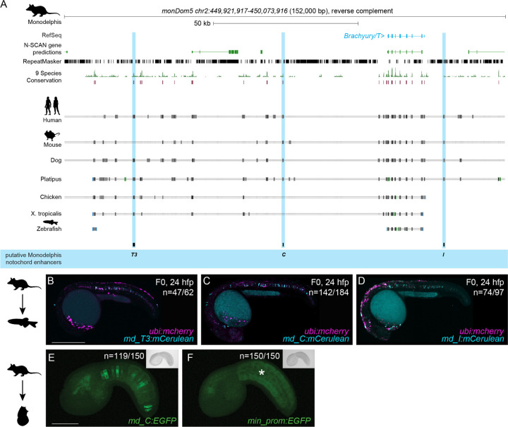 Figure 4: