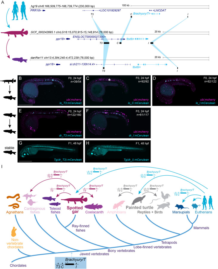 Figure 6: