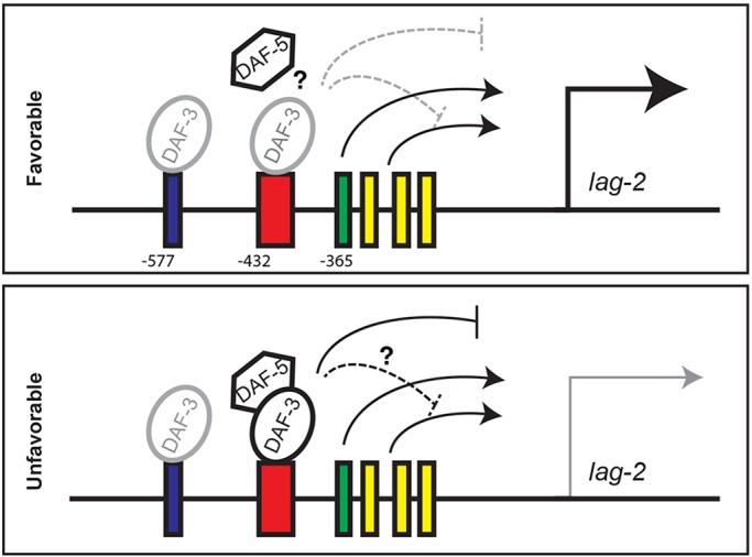 Fig. 7.