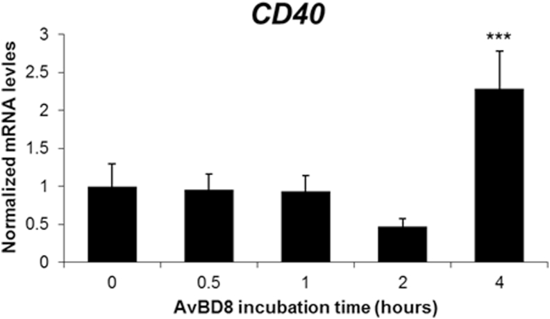 Figure 5