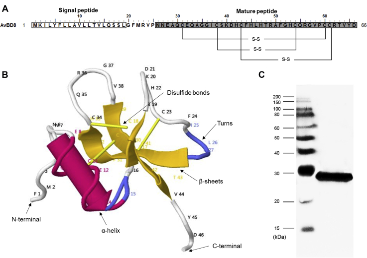 Figure 1