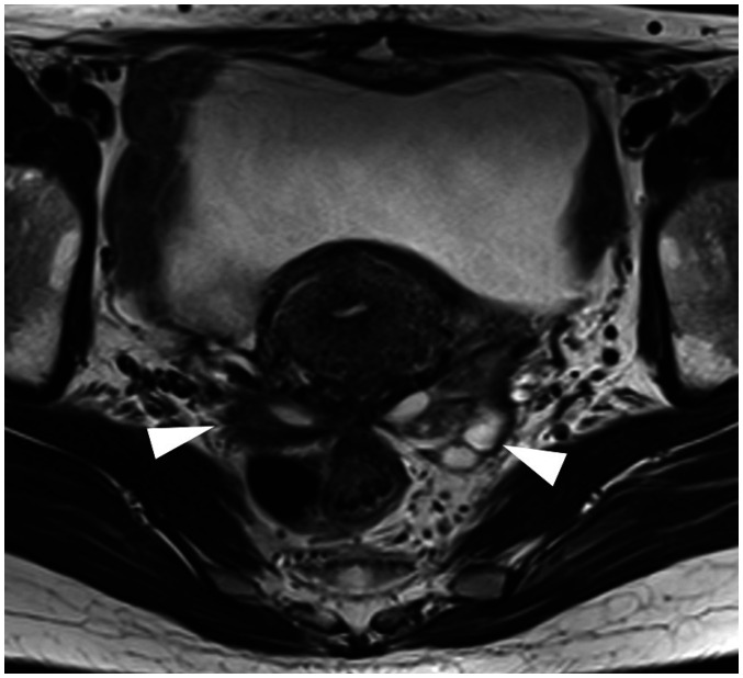 Fig. 10