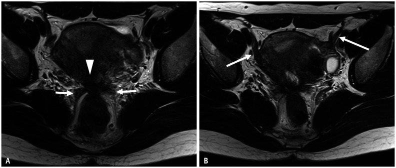 Fig. 9