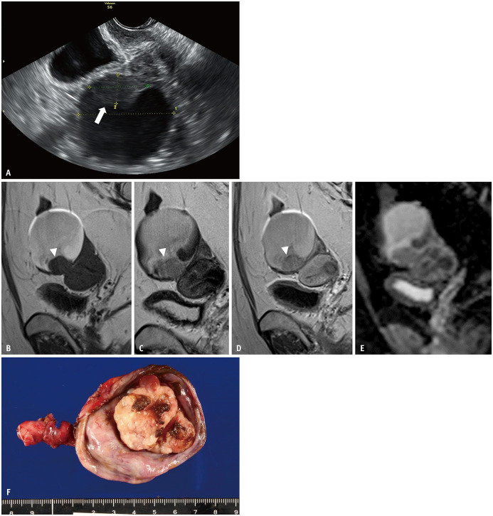 Fig. 7