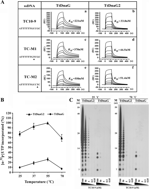 FIG. 6.