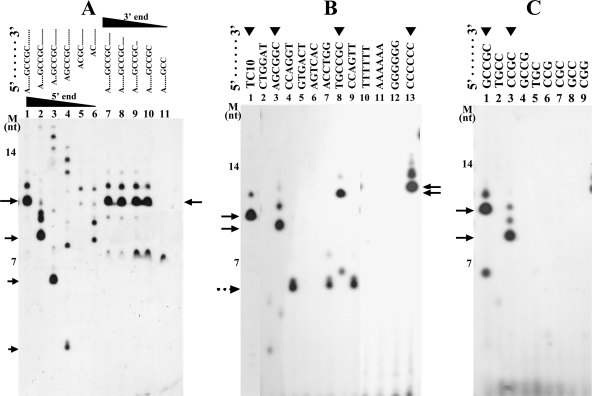 FIG. 3.