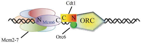 Figure 6.