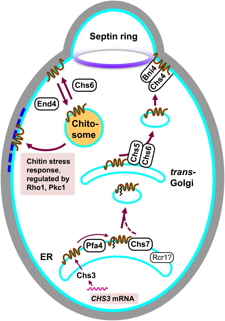 Figure 9 