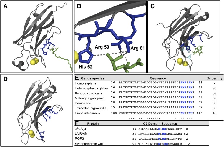 Fig. 8.