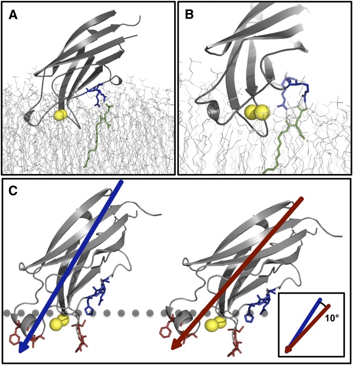 Fig. 7.