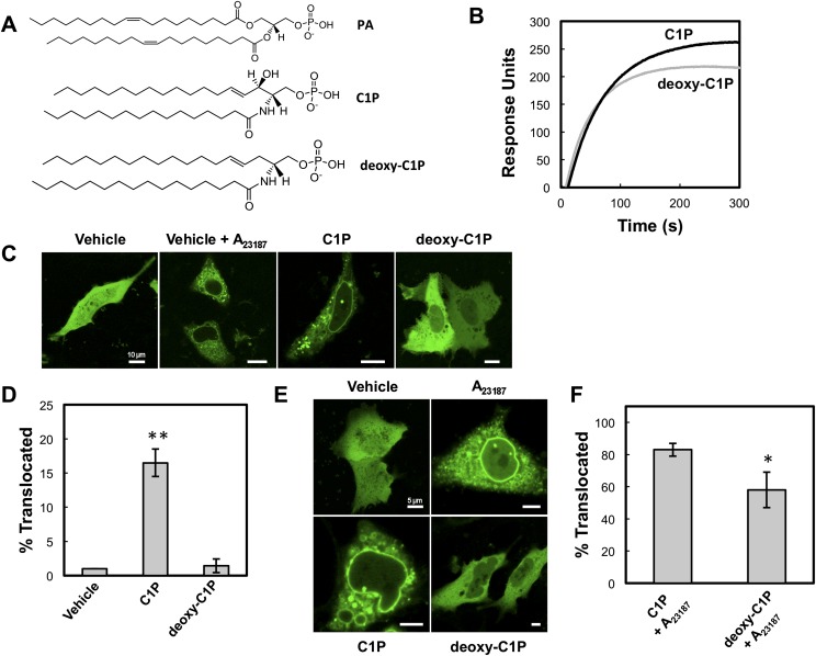 Fig. 6.