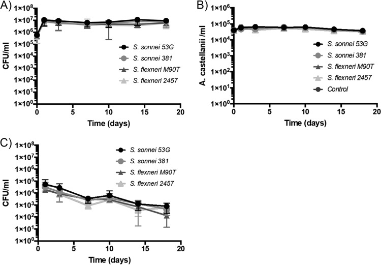 FIG 1