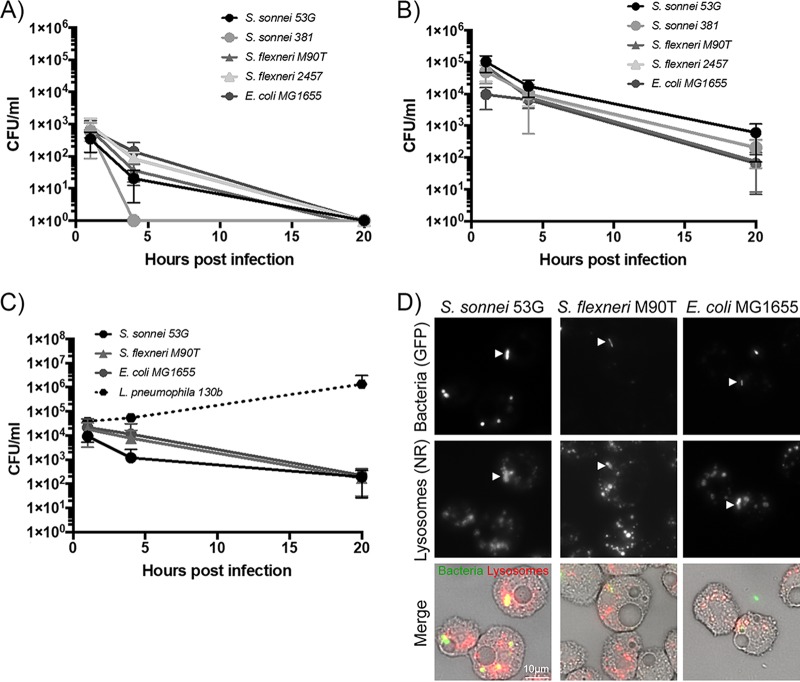 FIG 3