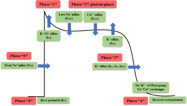 FIGURE 4