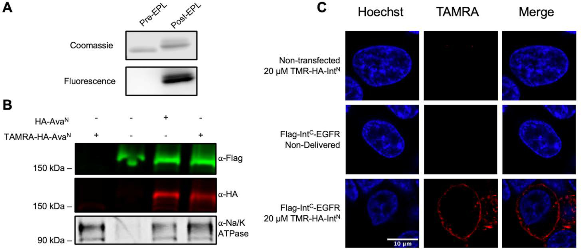 Figure 3.