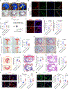 Fig. 4 |