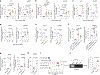 Fig. 6 |