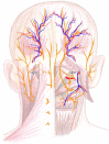 Fig 2
