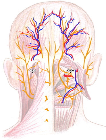 Fig 2