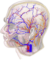 Fig 1