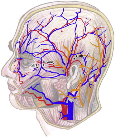 Fig 1