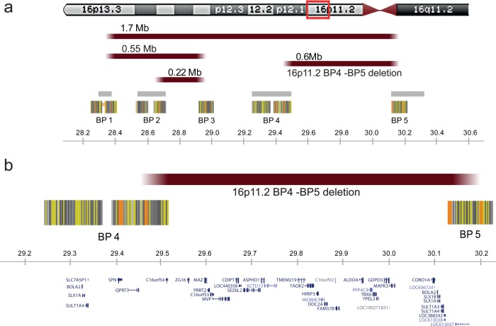 Figure 1