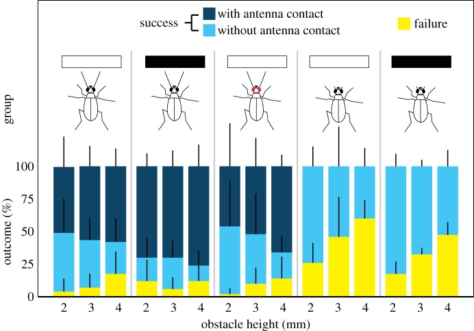 Figure 2.