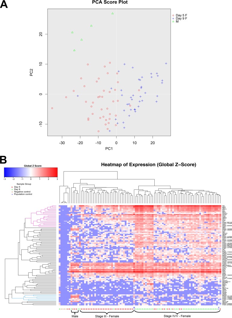 FIG 3 