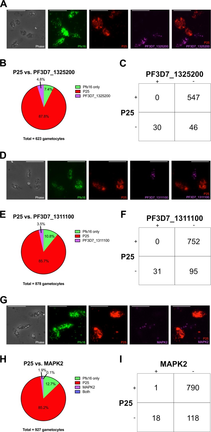 FIG 6 