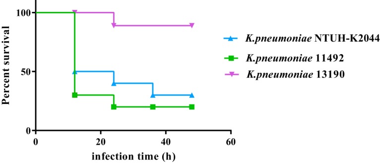 FIG 1