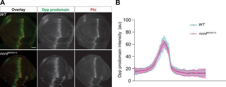 Figure 5—figure supplement 2.