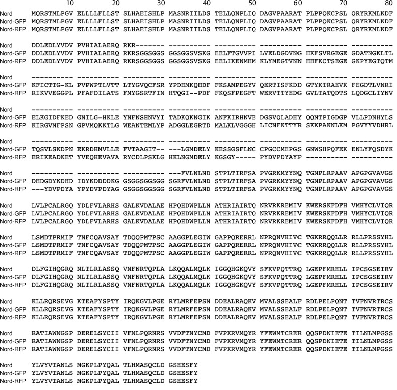 Figure 2—figure supplement 2.