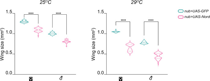 Figure 6—figure supplement 1.