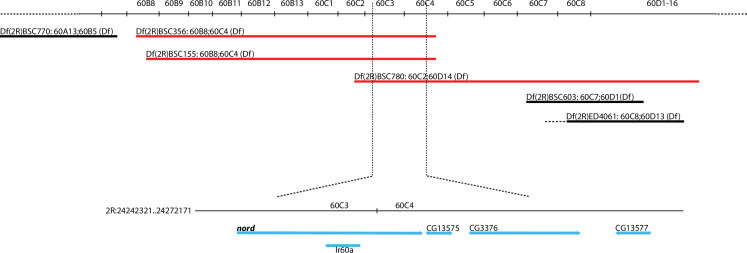 Figure 4—figure supplement 3.