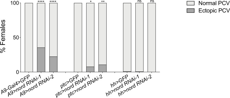 Figure 5—figure supplement 4.