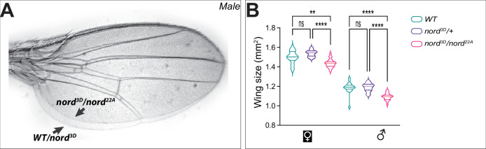 Figure 4—figure supplement 2.